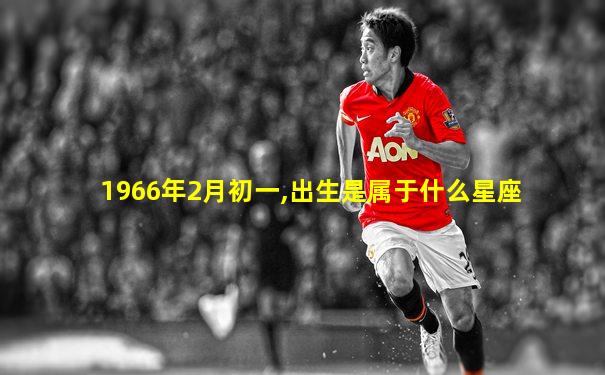 1966年2月初一,出生是属于什么星座