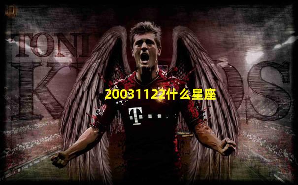20031122什么星座