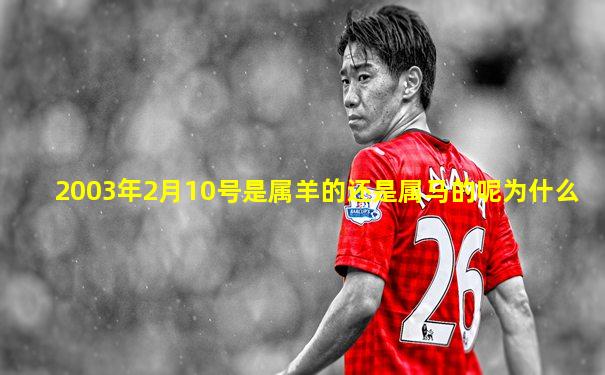 2003年2月10号是属羊的还是属马的呢为什么