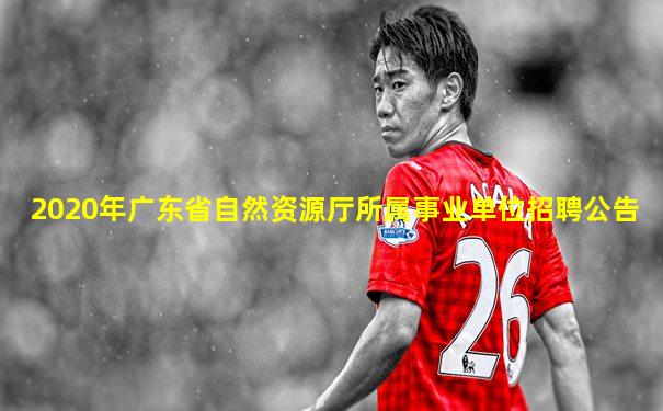 2020年广东省自然资源厅所属事业单位招聘公告