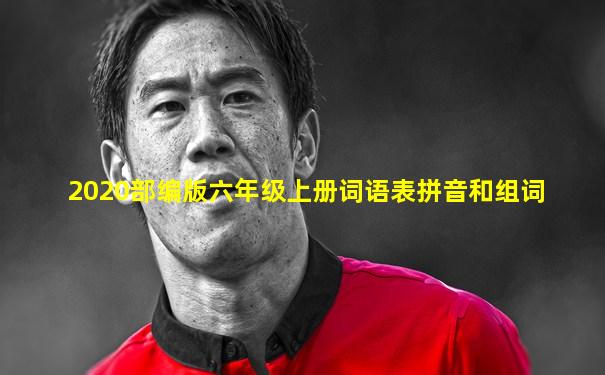 2020部编版六年级上册词语表拼音和组词