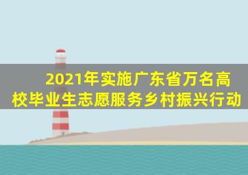 2021年实施广东省万名高校毕业生志愿服务乡村振兴行动