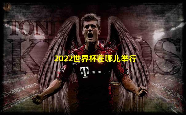 2022世界杯在哪儿举行