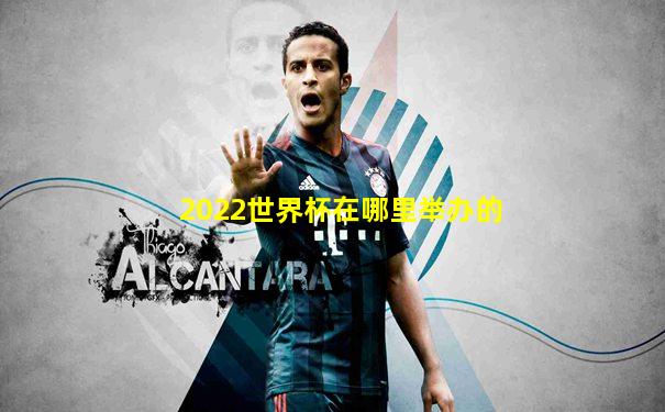 2022世界杯在哪里举办的