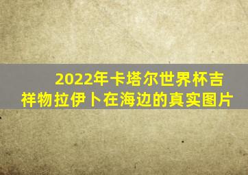 2022年卡塔尔世界杯吉祥物拉伊卜在海边的真实图片