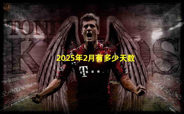2025年2月有多少天数