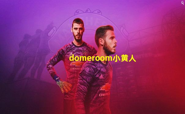 domeroom小黄人