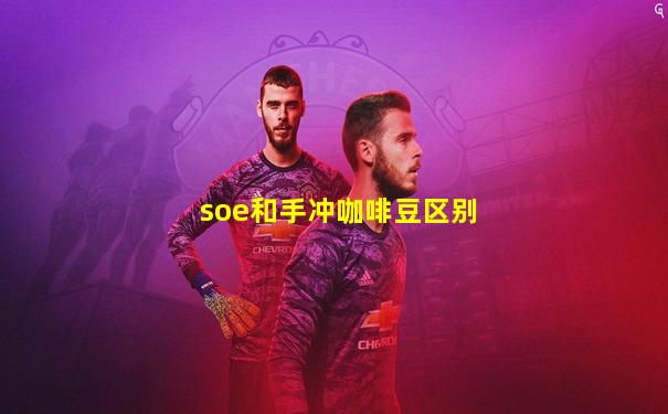 soe和手冲咖啡豆区别