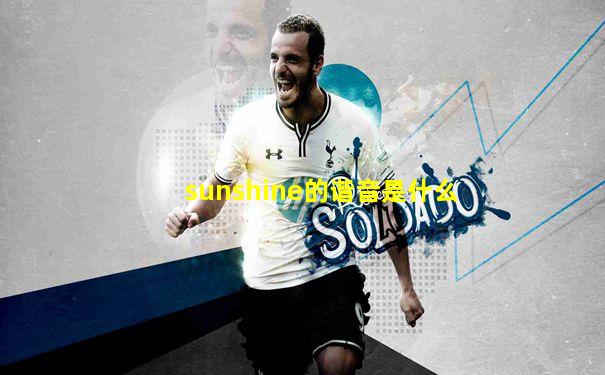 sunshine的谐音是什么