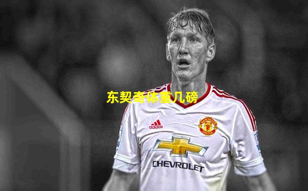 东契奇体重几磅