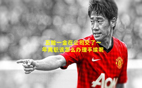 五险一金在公司交了一年离职该怎么办理手续呢
