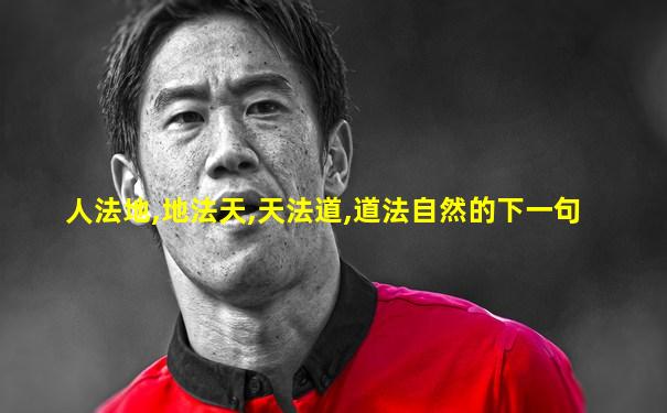 人法地,地法天,天法道,道法自然的下一句