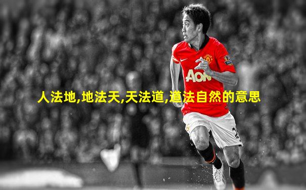 人法地,地法天,天法道,道法自然的意思