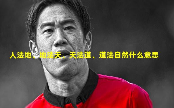 人法地、地法天、天法道、道法自然什么意思