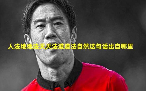 人法地地法天天法道道法自然这句话出自哪里