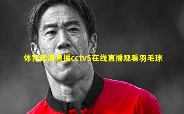 体育频道直播cctv5在线直播观看羽毛球