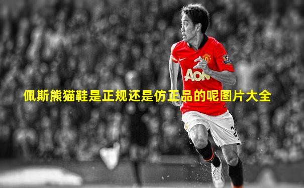 佩斯熊猫鞋是正规还是仿正品的呢图片大全