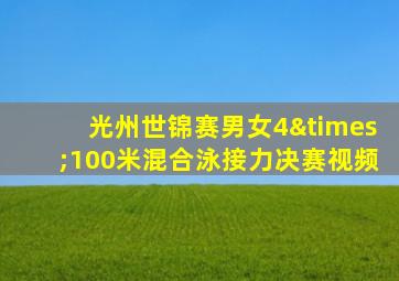 光州世锦赛男女4×100米混合泳接力决赛视频