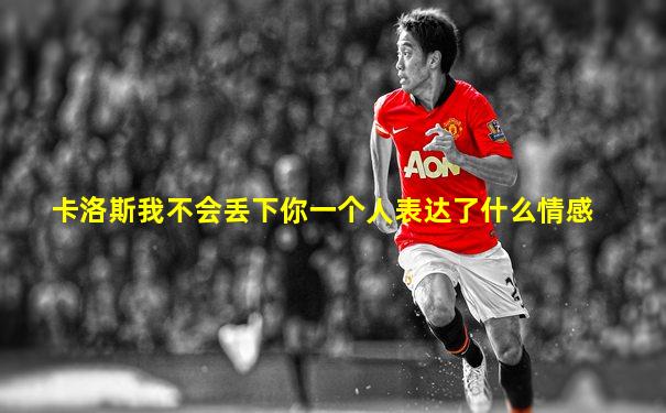卡洛斯我不会丢下你一个人表达了什么情感