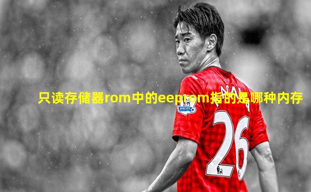 只读存储器rom中的eeprom指的是哪种内存