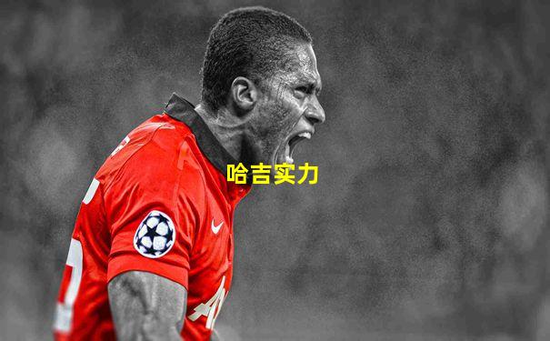 哈吉实力