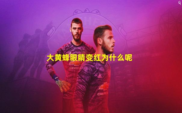 大黄蜂眼睛变红为什么呢