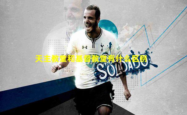 天主教堂和基督教堂有什么区别