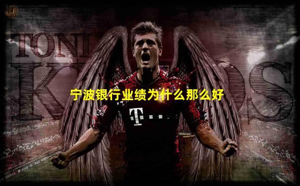 宁波银行业绩为什么那么好