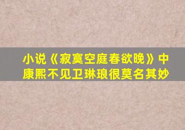 小说《寂寞空庭春欲晚》中康熙不见卫琳琅很莫名其妙