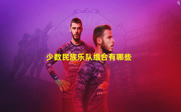 少数民族乐队组合有哪些