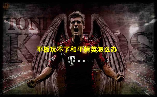 平板玩不了和平精英怎么办