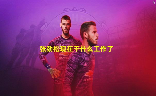 张劲松现在干什么工作了