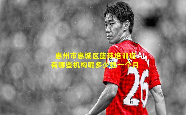 惠州市惠城区篮球培训班有哪些机构呢多少钱一个月