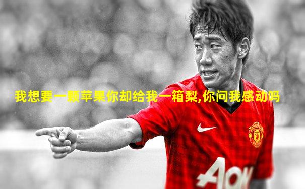 我想要一颗苹果你却给我一箱梨,你问我感动吗