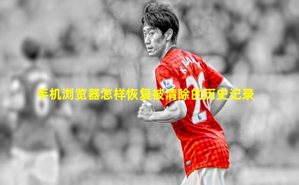 手机浏览器怎样恢复被清除的历史记录
