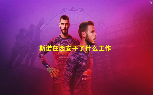 斯诺在西安干了什么工作