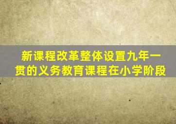 新课程改革整体设置九年一贯的义务教育课程在小学阶段