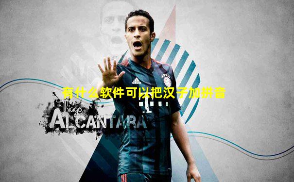 有什么软件可以把汉子加拼音