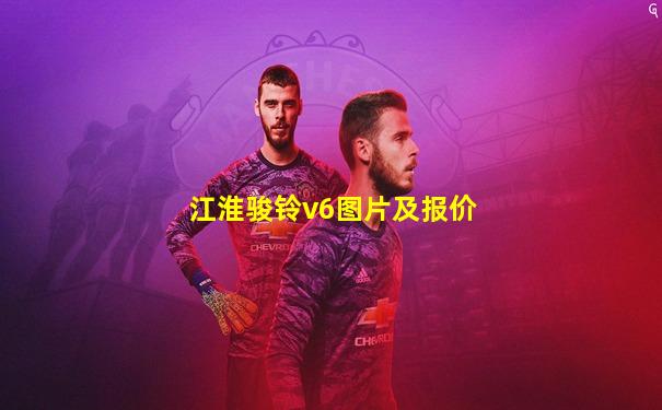 江淮骏铃v6图片及报价