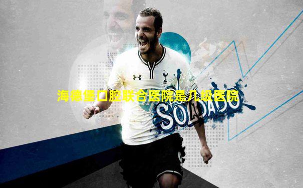 海德堡口腔联合医院是几级医院