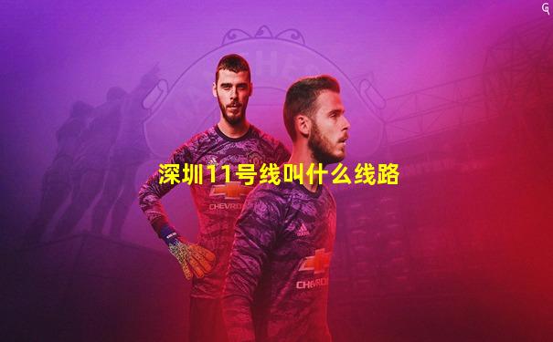 深圳11号线叫什么线路