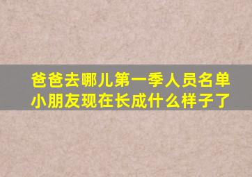爸爸去哪儿第一季人员名单小朋友现在长成什么样子了