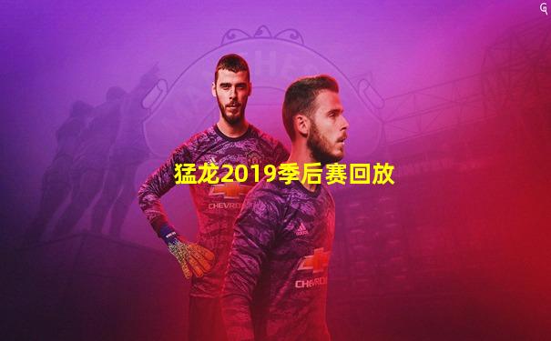 猛龙2019季后赛回放