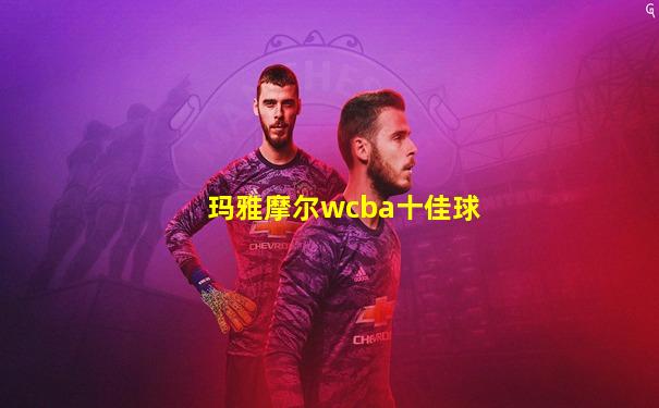 玛雅摩尔wcba十佳球