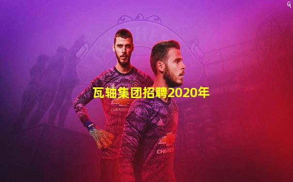 瓦轴集团招聘2020年