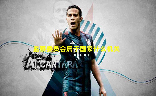 监察委员会属于国家什么机关