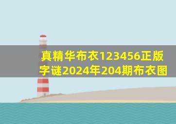 真精华布衣123456正版字谜2024年204期布衣图