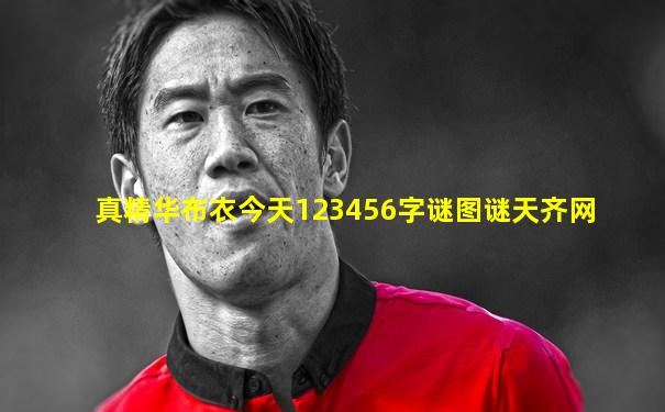 真精华布衣今天123456字谜图谜天齐网
