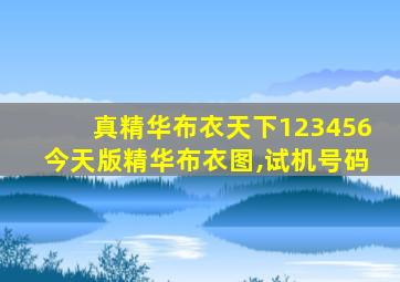 真精华布衣天下123456今天版精华布衣图,试机号码