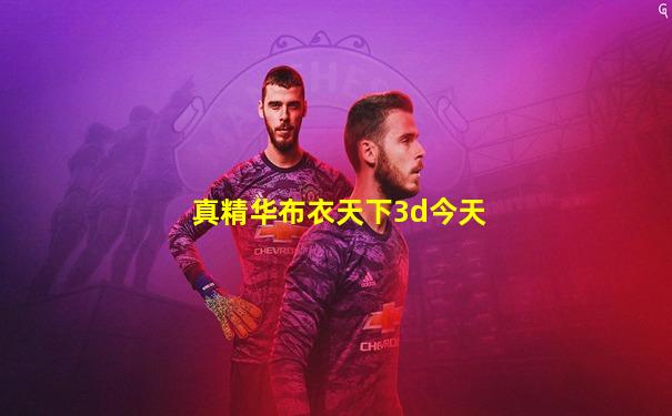 真精华布衣天下3d今天
